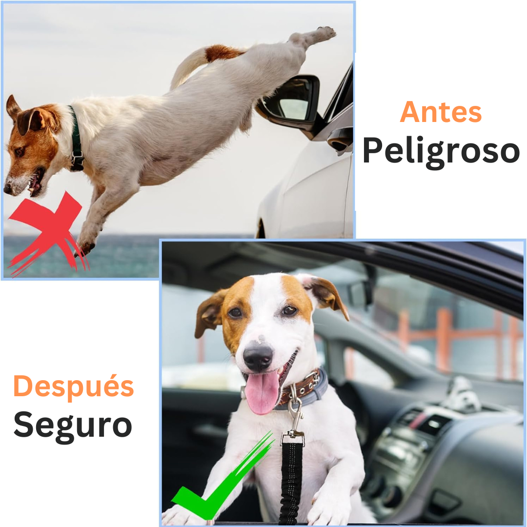 Cinturón de coche para perro
