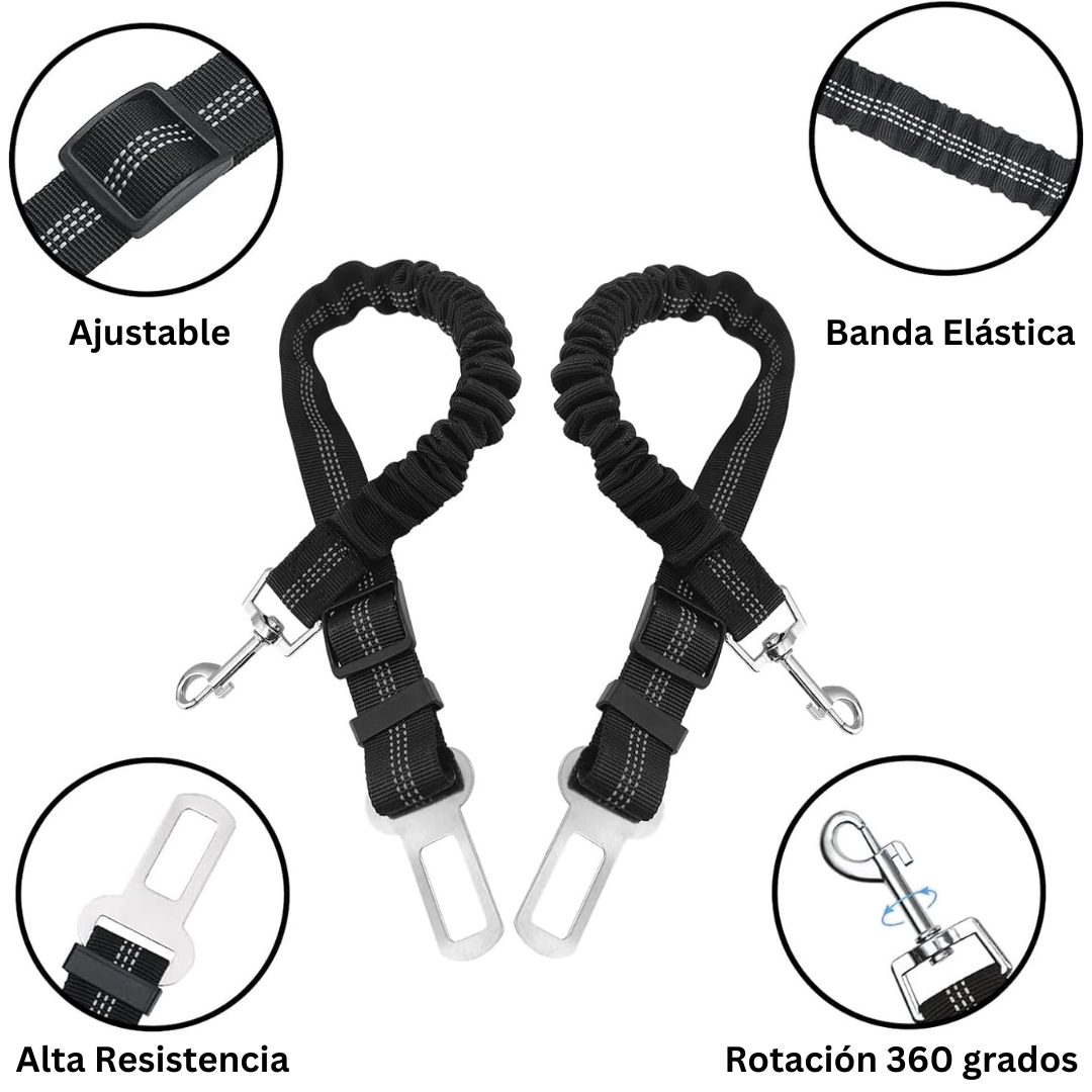 cinturón elástico para perro