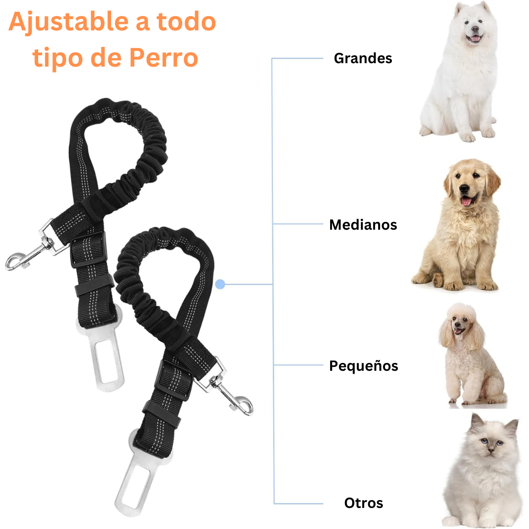 cinturón para mascota