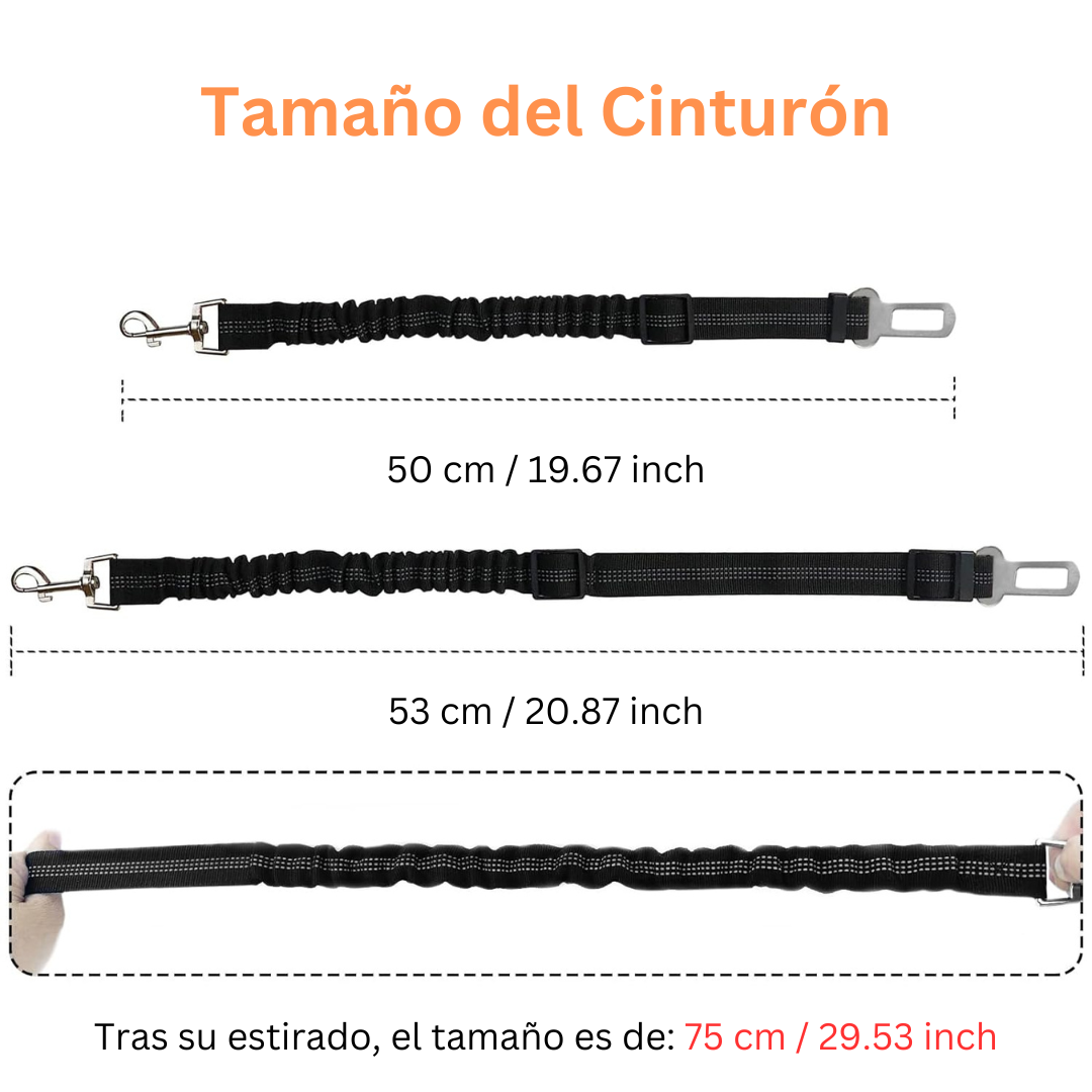 cinturones para perros
