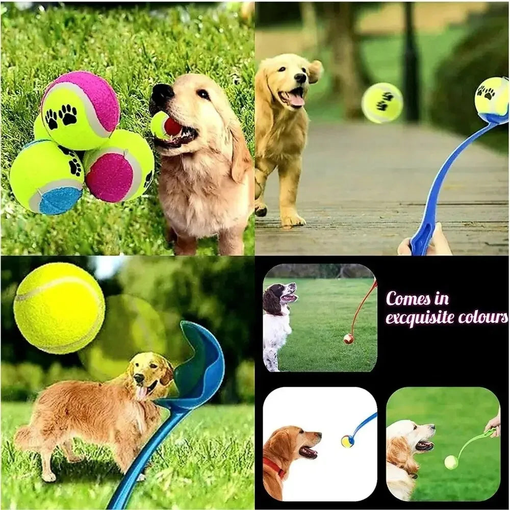 Ball Thrower