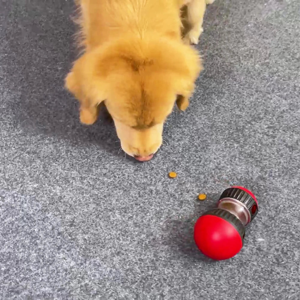 Slow Interactive Feeder