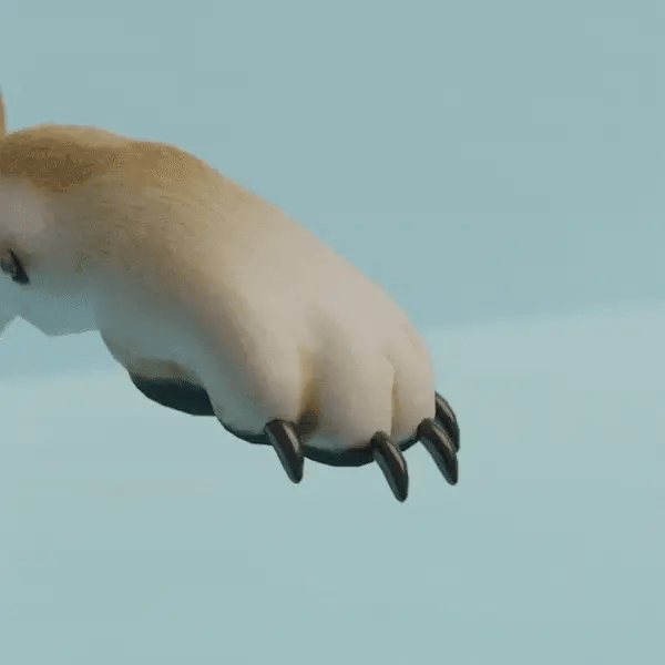 PetNail Care Pro™ - Limado seguro y silencioso