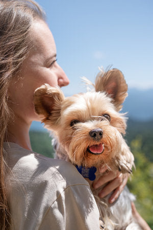 files/193365789-cuidado-de-mascotas-de-viaje-joven-mujer-bastante-caucasica-sonriendo-sosteniendo-un-pequeno-perro.jpg