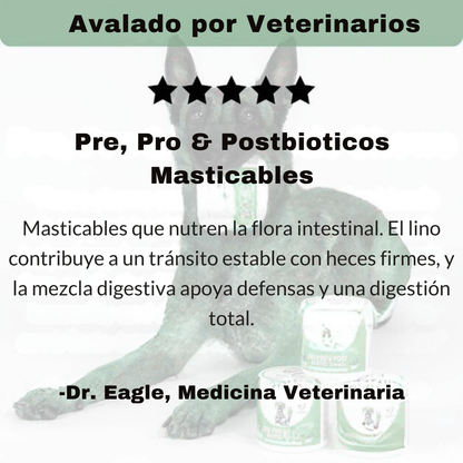 ProDigest™ Probióticos