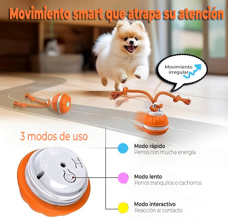 FatigueBall™ - Calms your dog's anxiety 