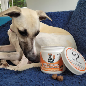 VitalPaws™ Probiotics 