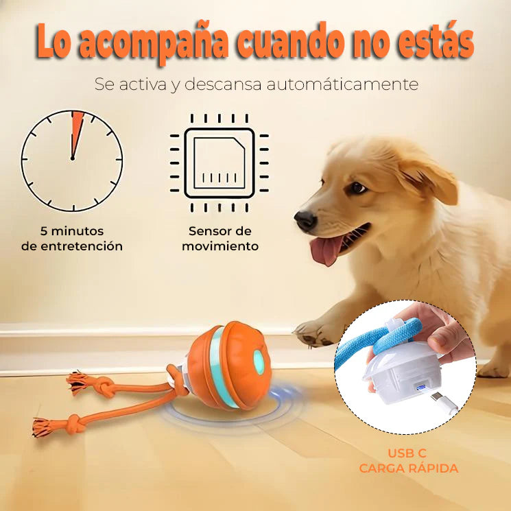 FatigueBall™ - Calms your dog's anxiety 