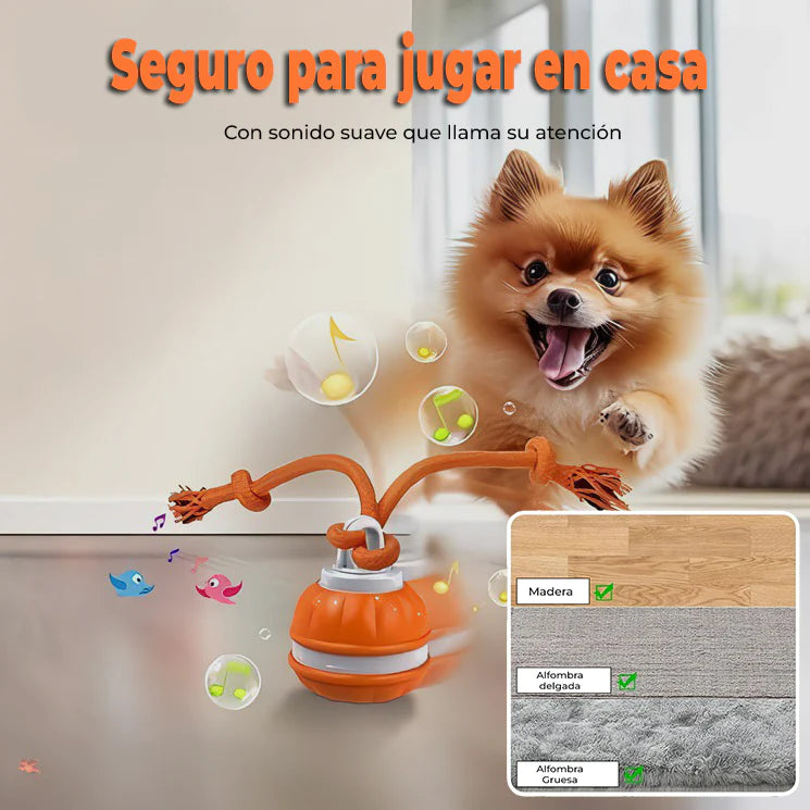 FatigueBall™ - Calms your dog's anxiety 
