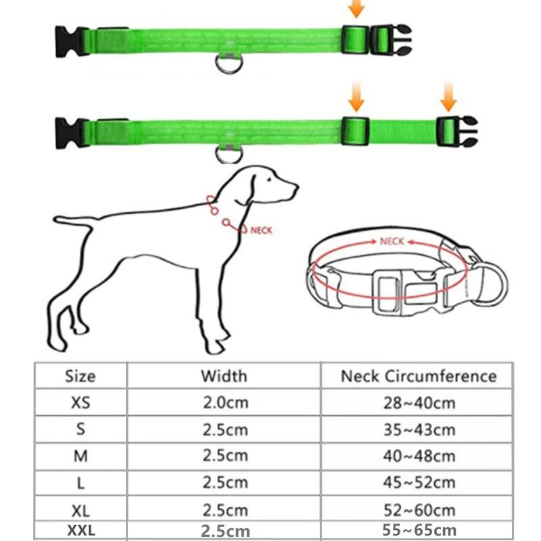 LED Luminous Necklace 