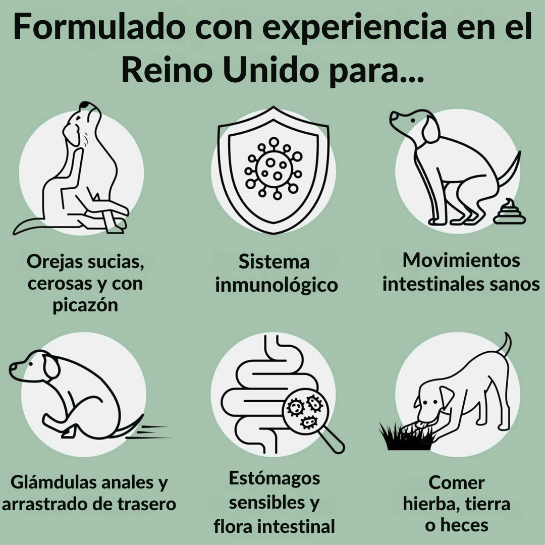 ProDigest™ Probióticos