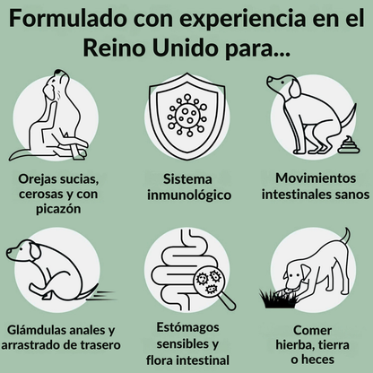 ProDigest™ Probióticos