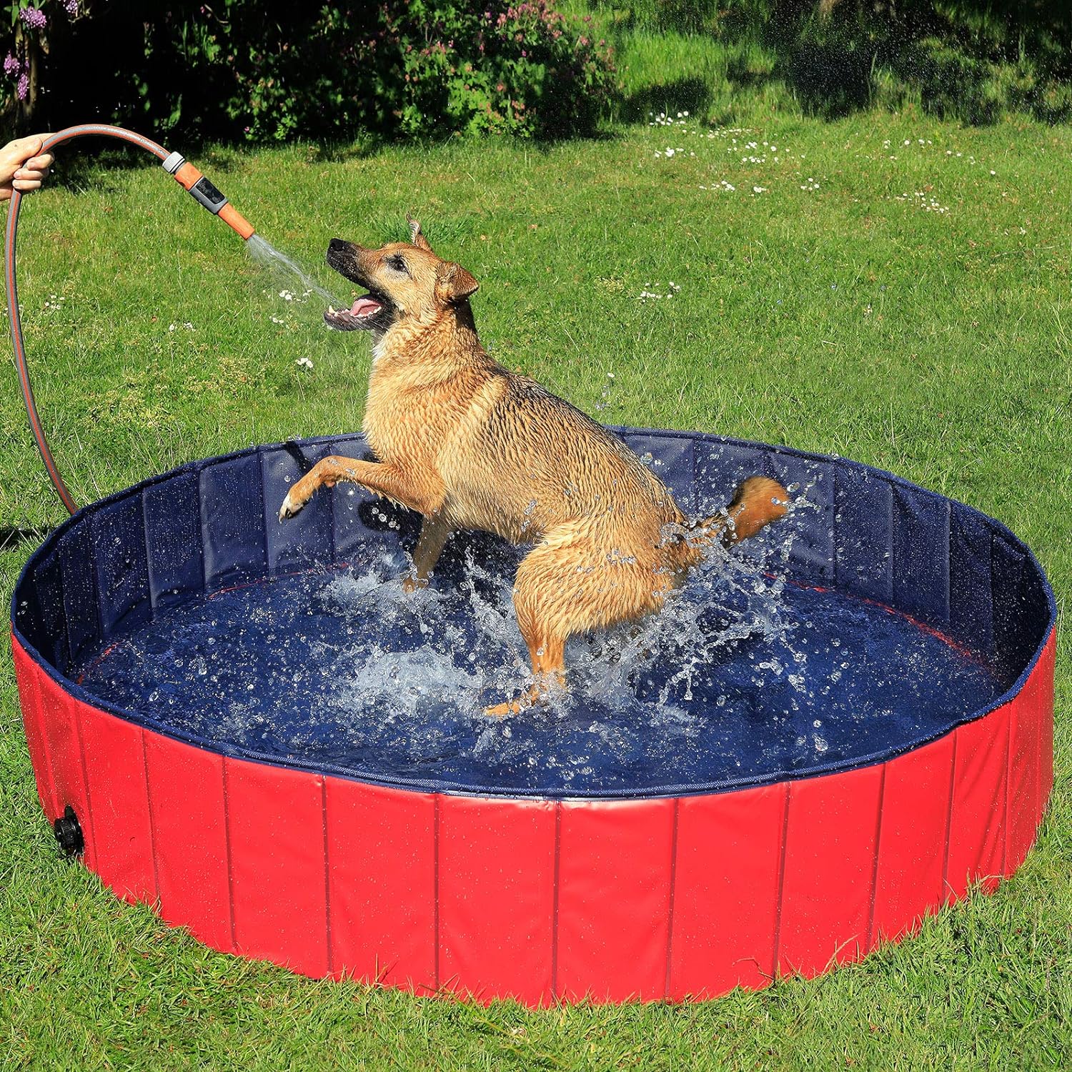 Piscina Antiarañazos Plegable AquaFold™