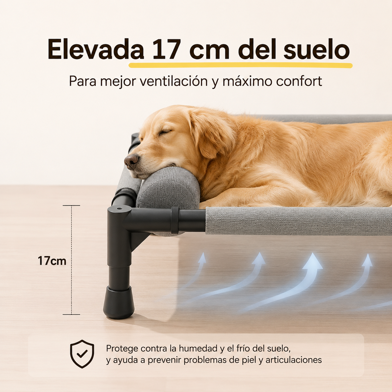 FreshRest™ | El Descanso Más Fresco para tu Mascota