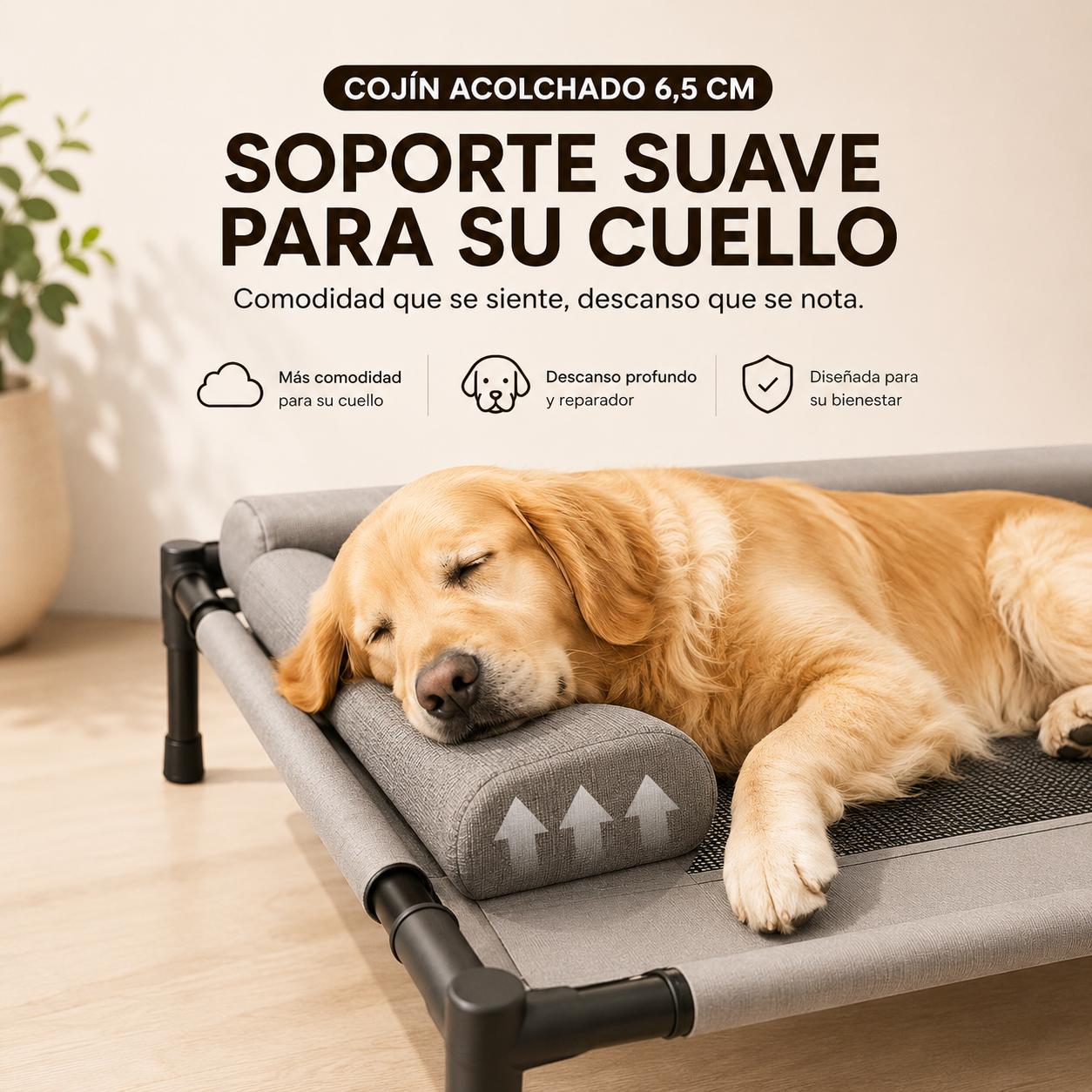 FreshRest™ | El Descanso Más Fresco para tu Mascota