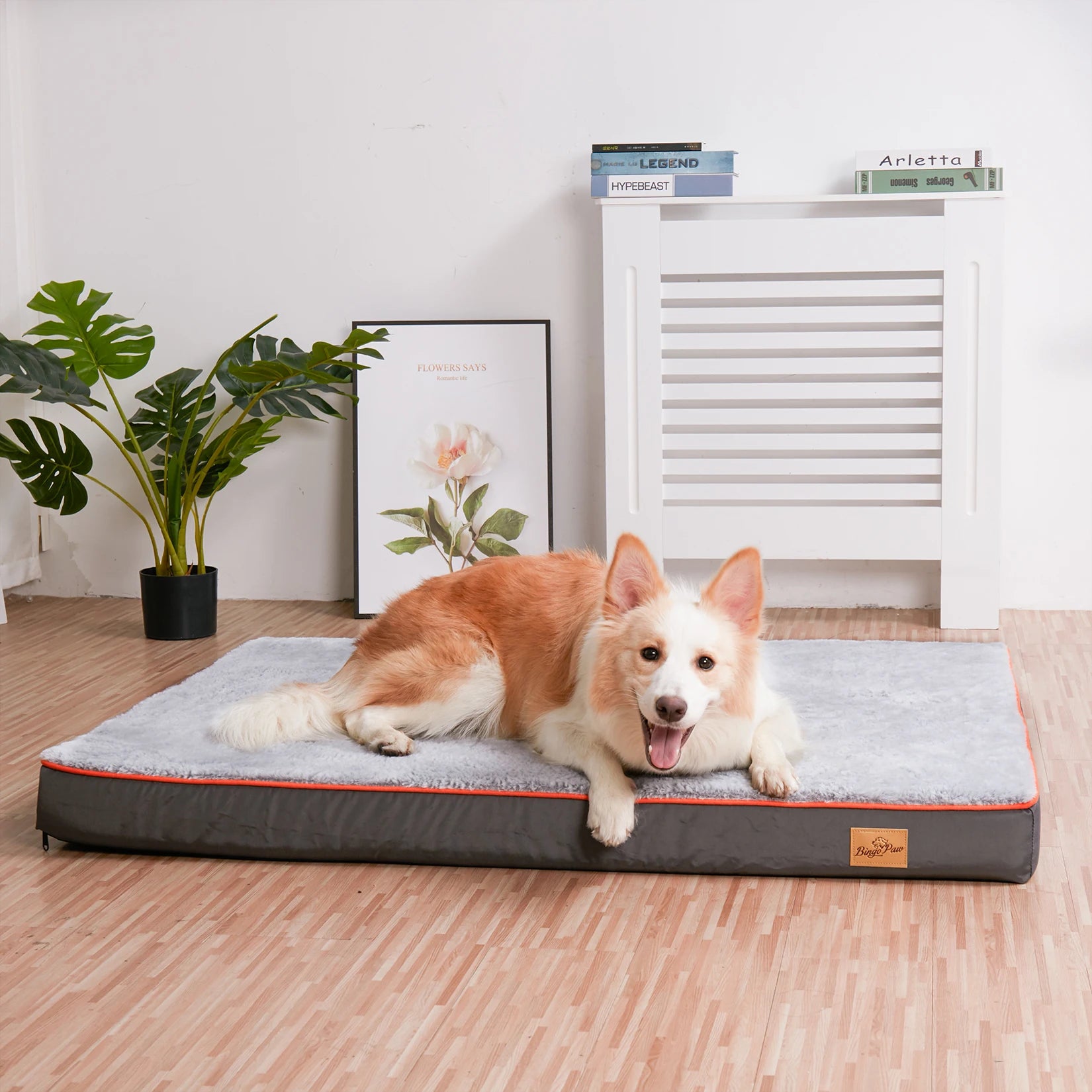 OrthoRelief™  - Cama Ortopédica Memory Foam Impermeable Premium