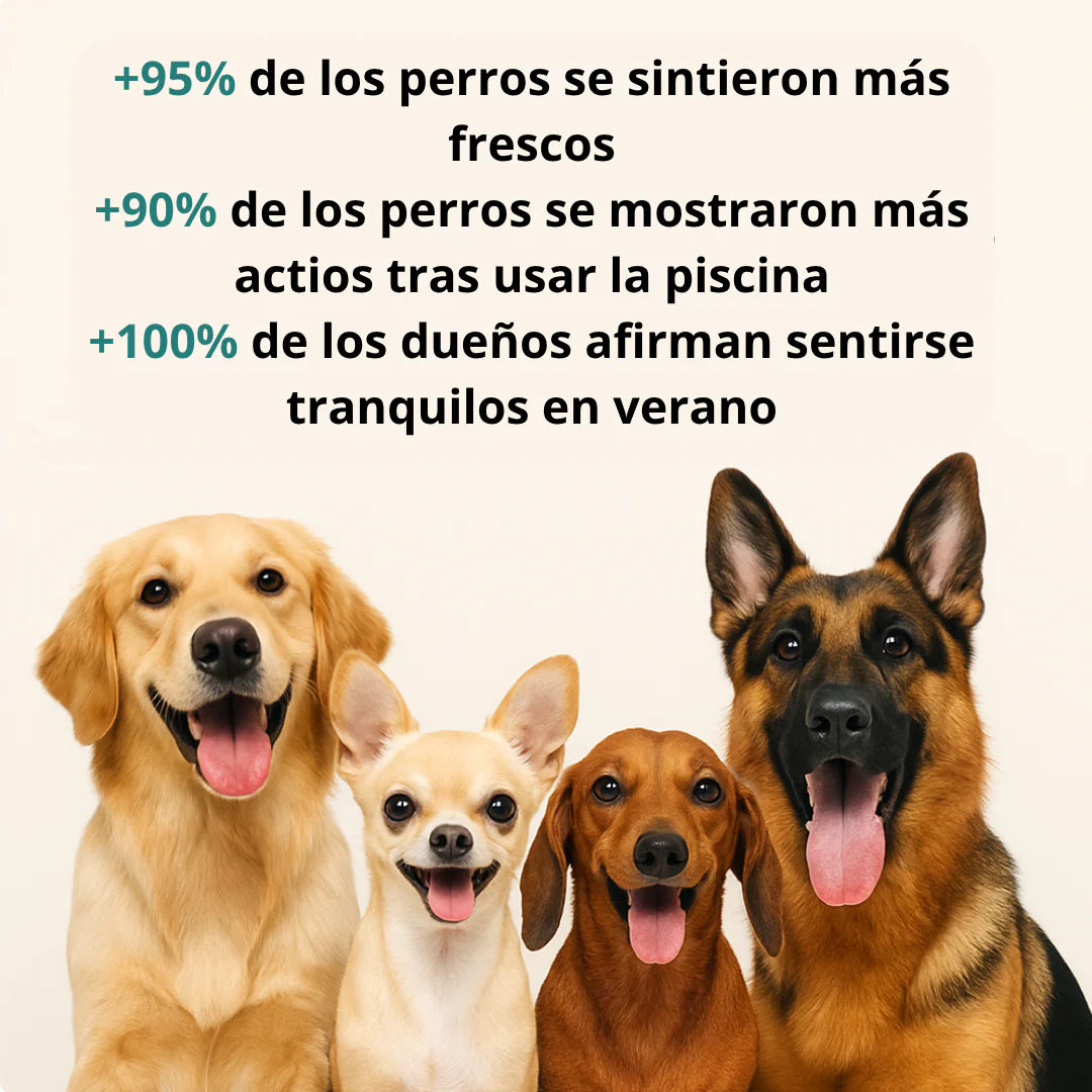 Piscina de Chorros DoggySplash™