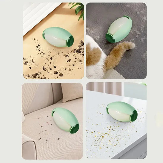 Reusable Pet Hair Remover Roller