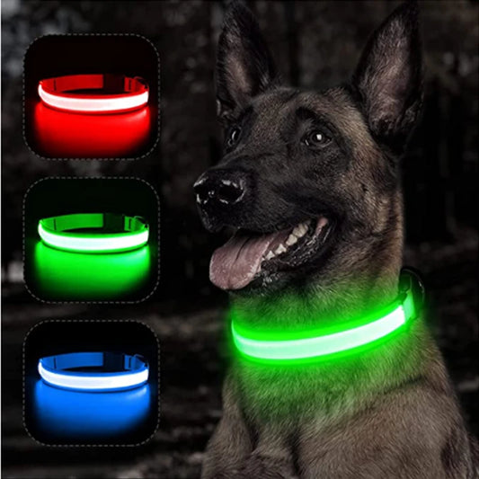 collar luminoso LED para perro