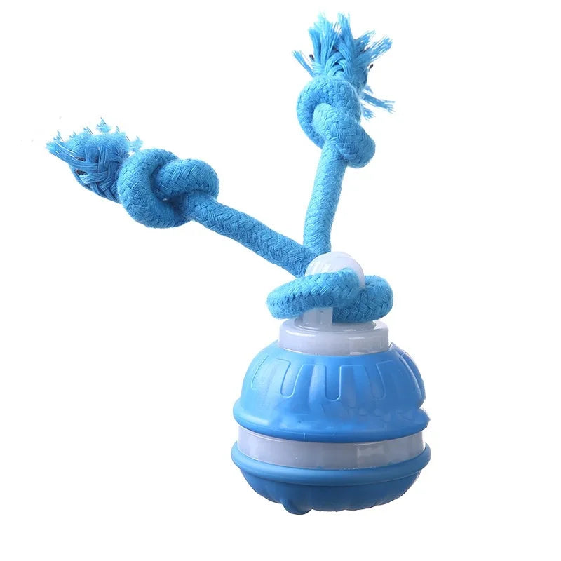 FatigueBall™ - Calms your dog's anxiety 