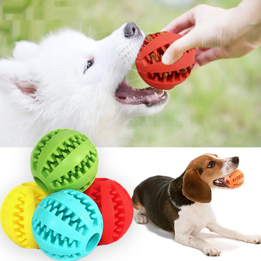 pelota interactiva para perros