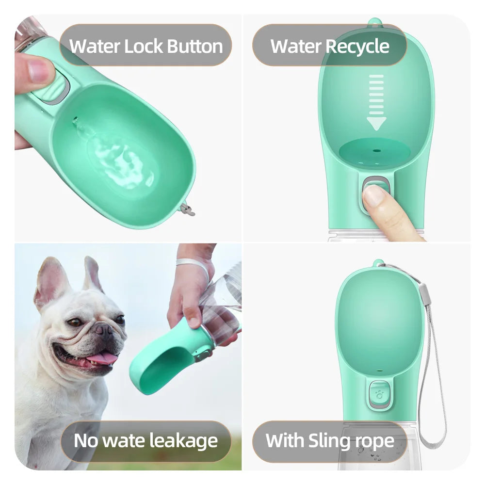 Aqua Paw
