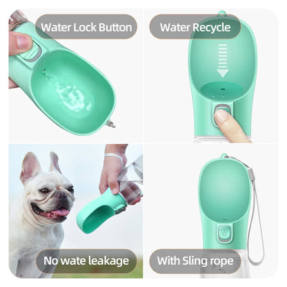 Aqua Paw