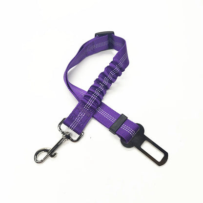 Cinturón para perro morado