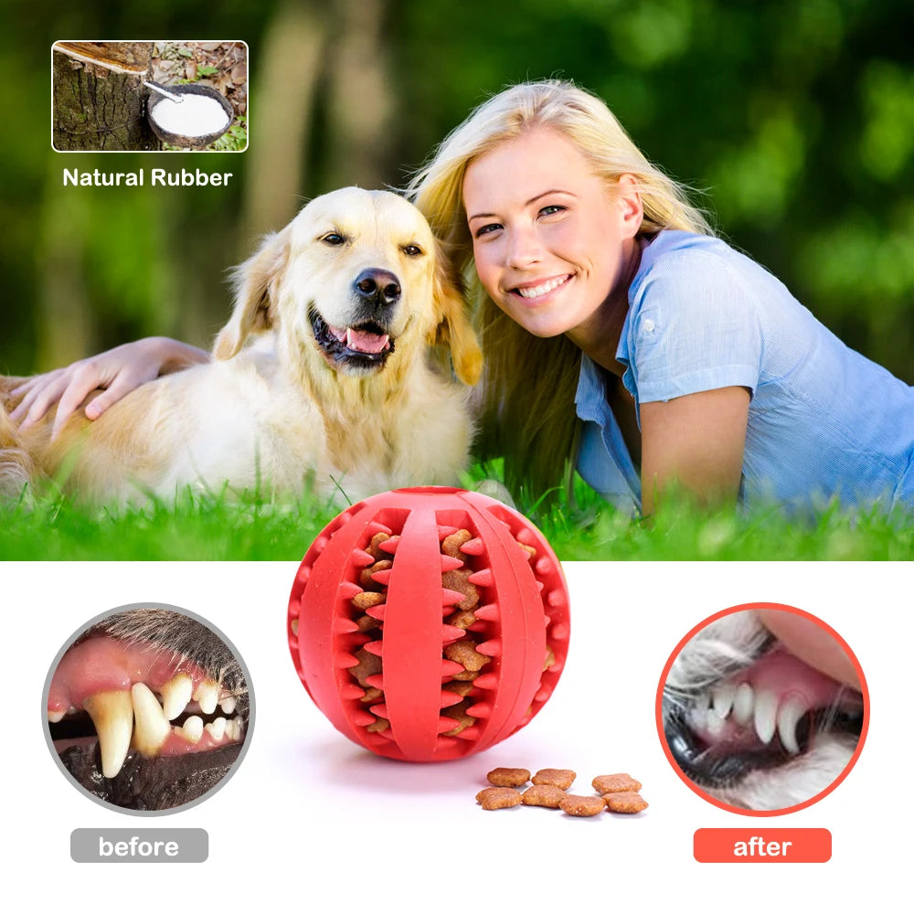 pelota interactiva antiestres perro
