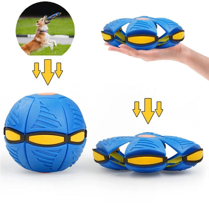 Pelota Interactiva 2 en 1