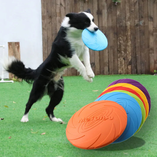 Frisbee para Perros