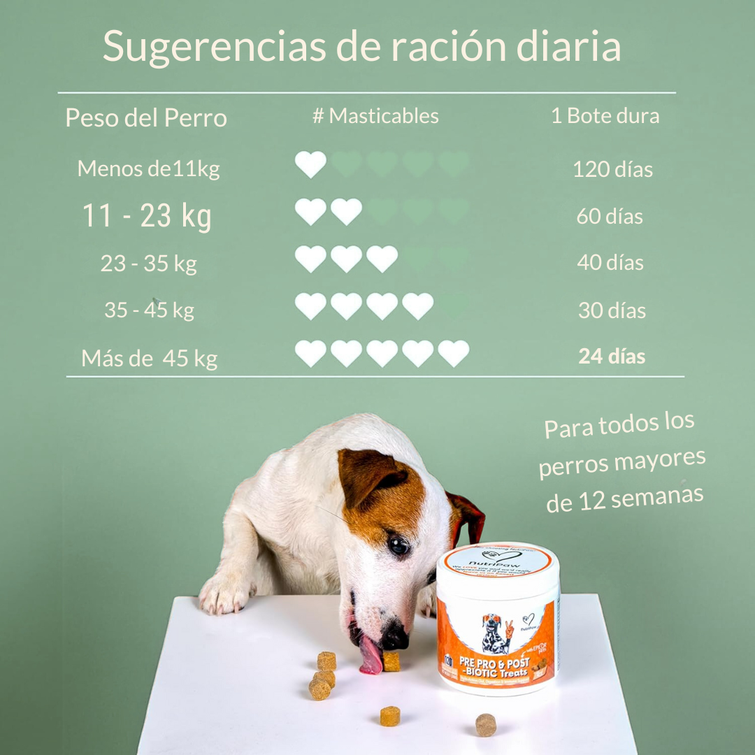 VitalPaws™ Probiotics 