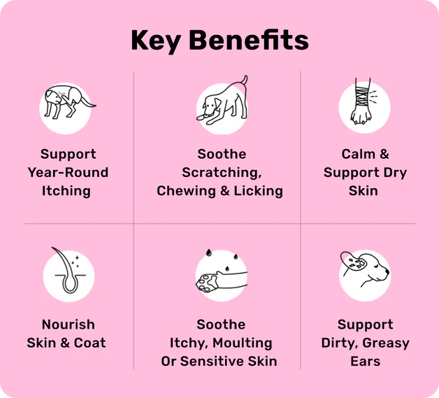 InmuPicor™ Probióticos