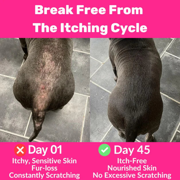 InmuPicor™ Probióticos