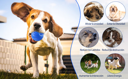 Bola Interactiva Automática