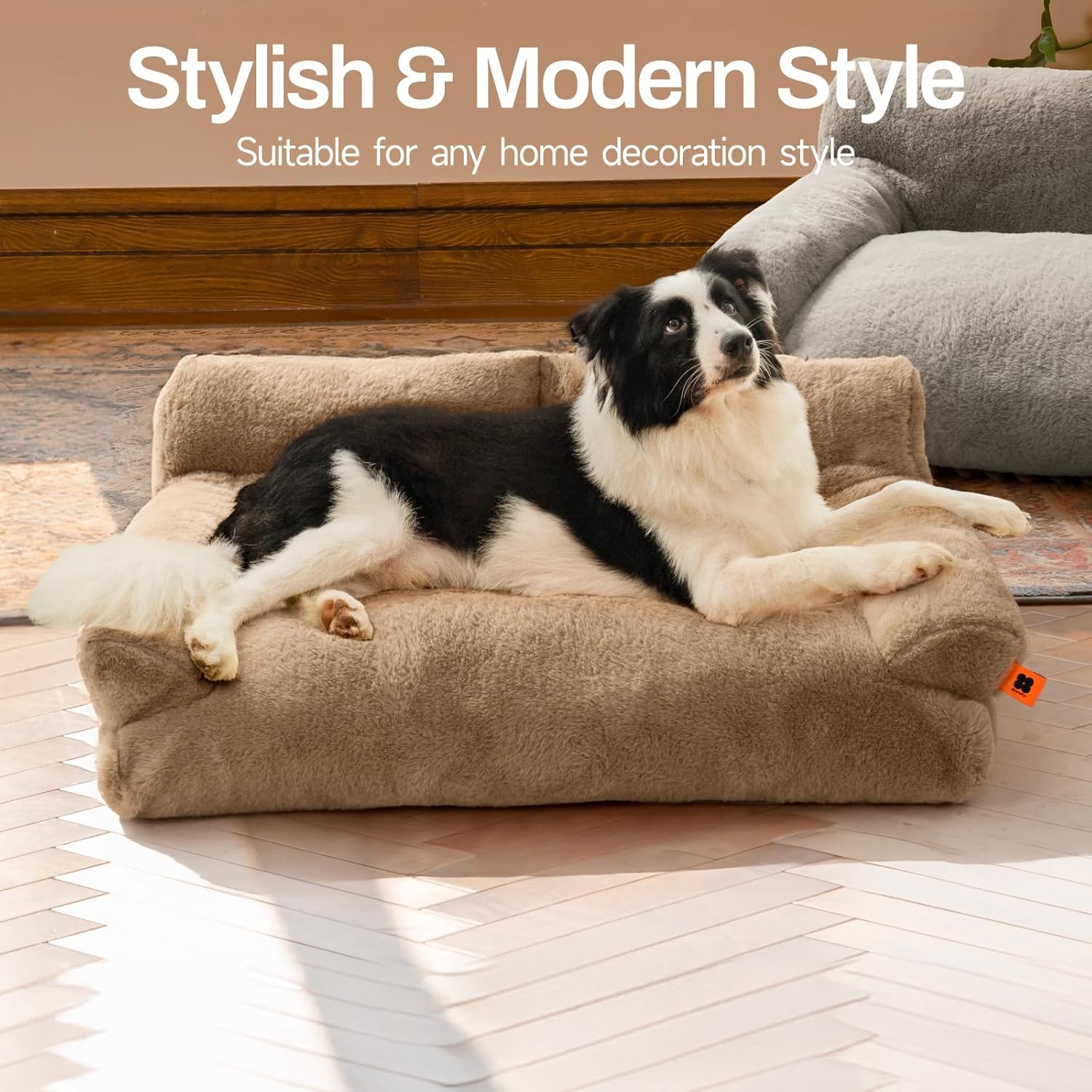 Cama Cozy Lounge﻿™