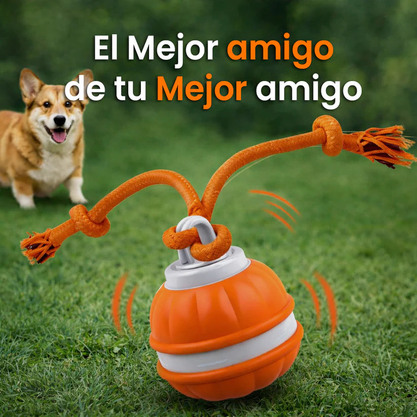 FatigueBall™ - Calms your dog's anxiety 