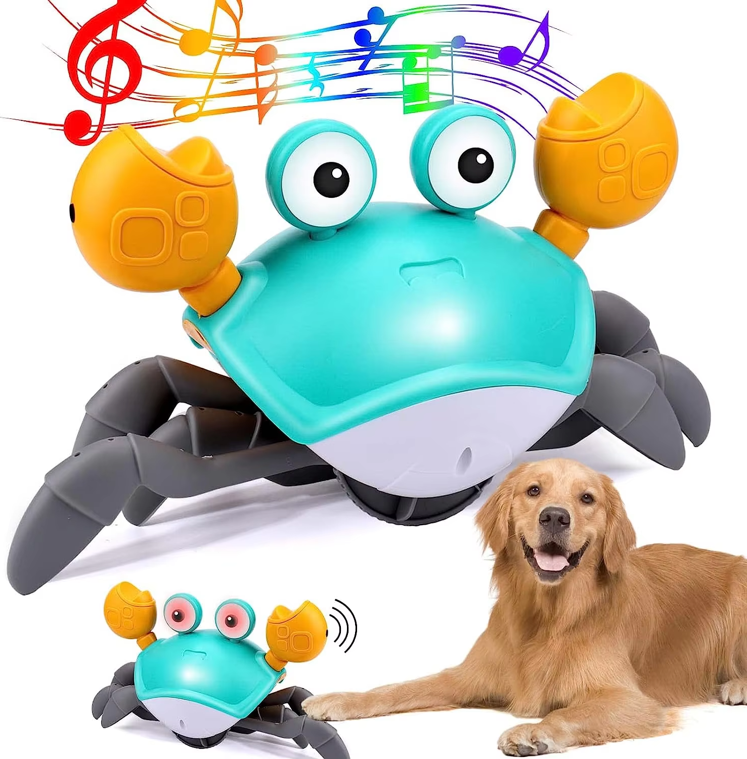Interactive Crab