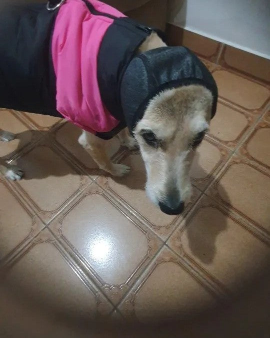 Foto de un comprador del producto