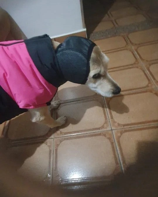 Foto de un comprador del producto