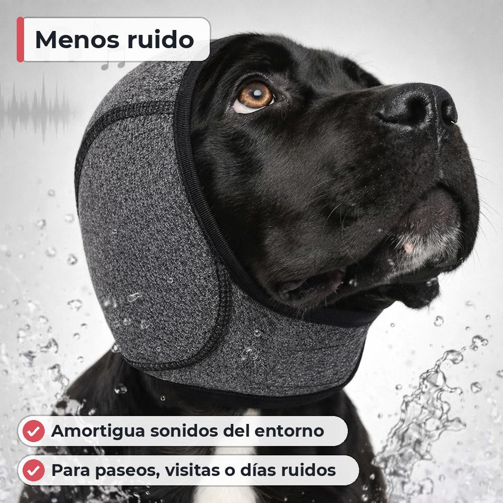 Característica principal