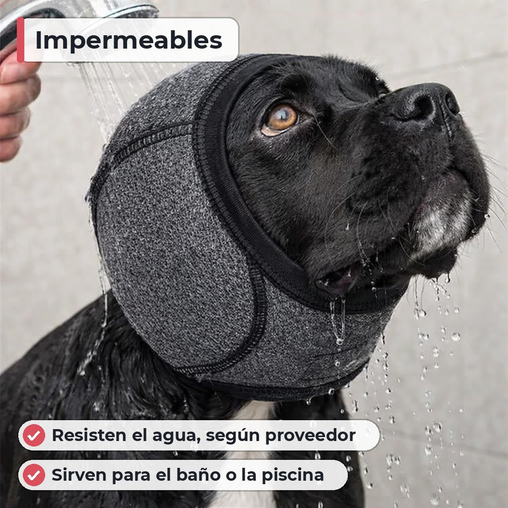 Segunda característica