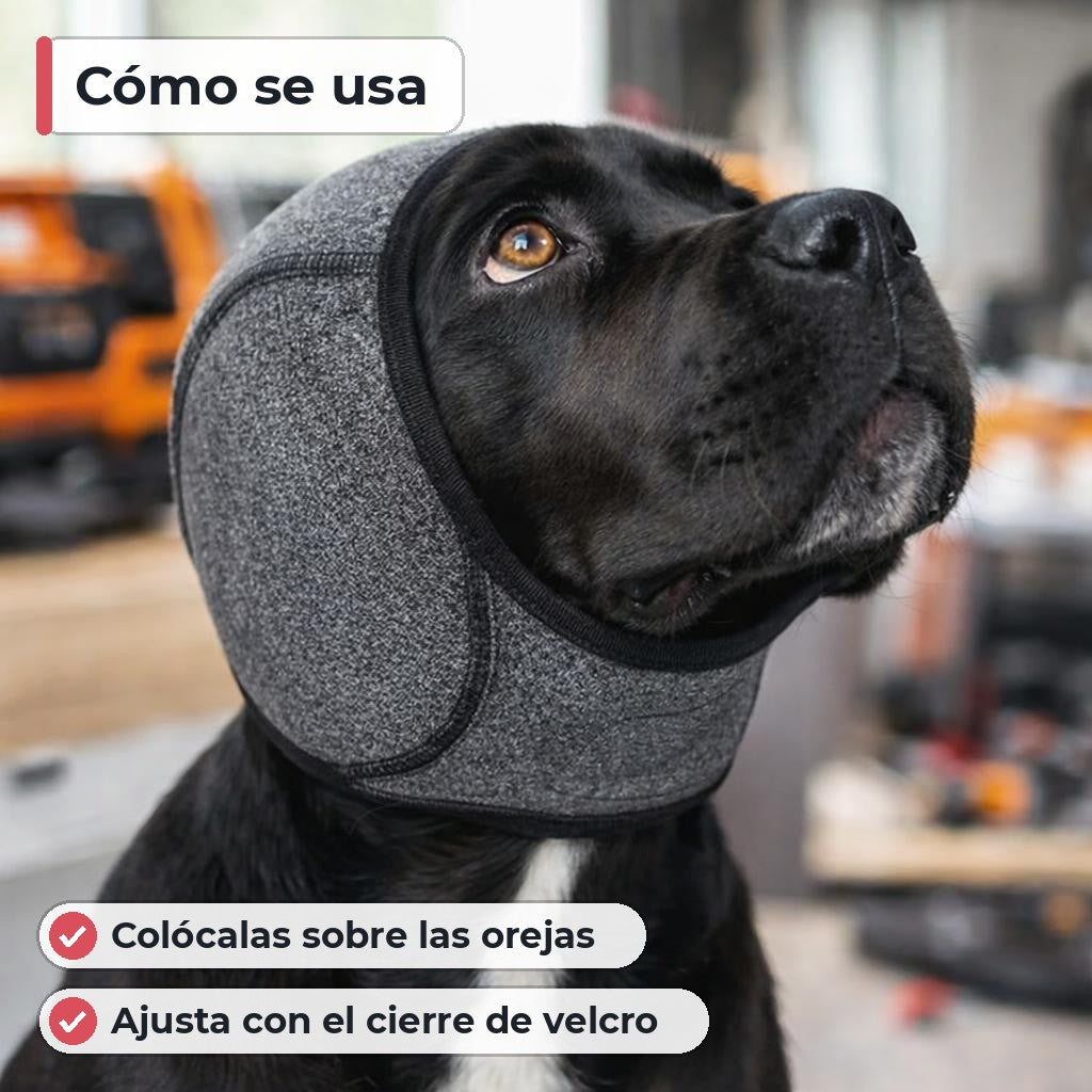 Cómo se usa