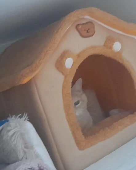Foto de un comprador del producto