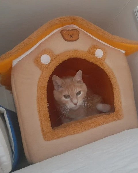 Foto de un comprador del producto