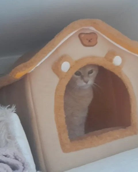 Foto de un comprador del producto