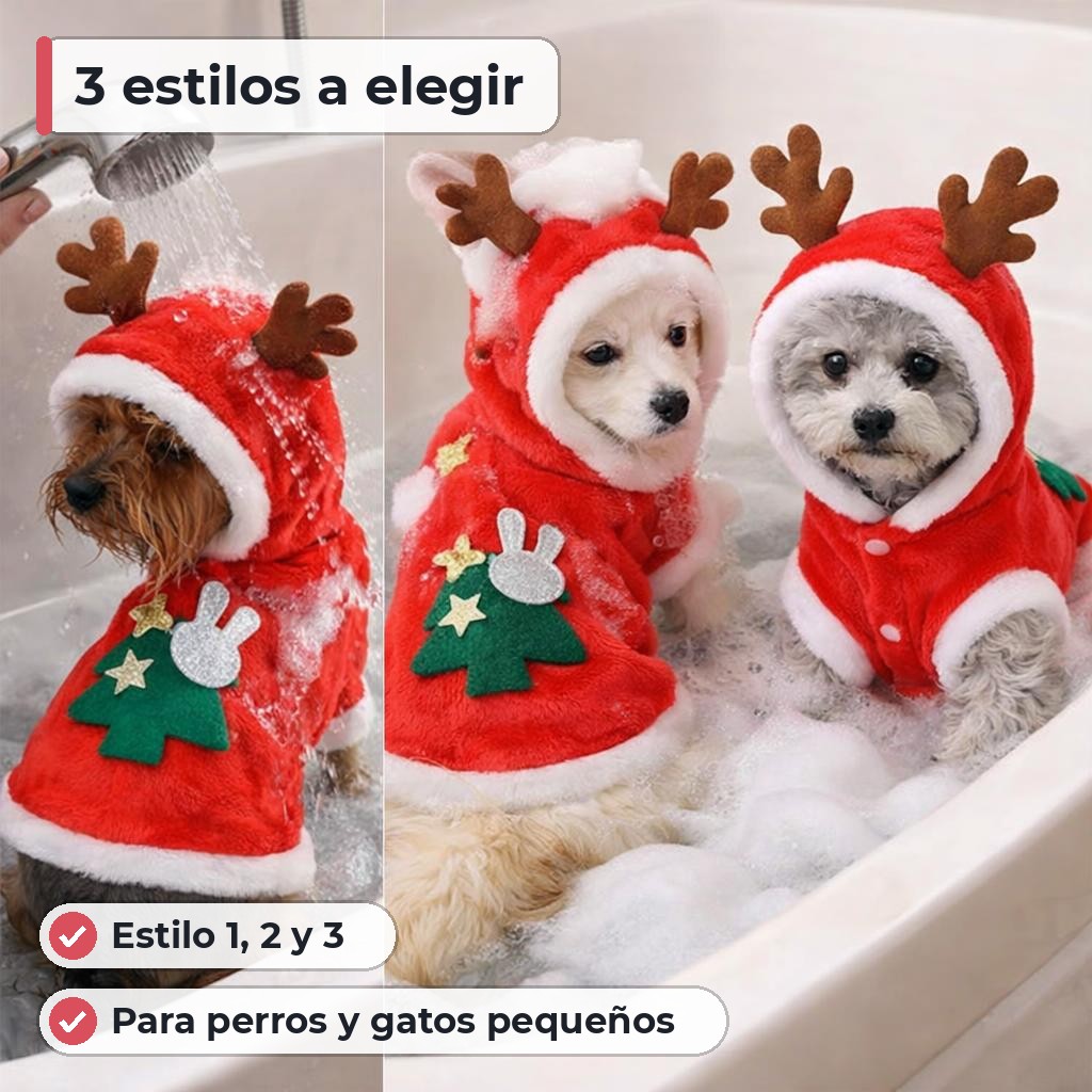 Segunda característica