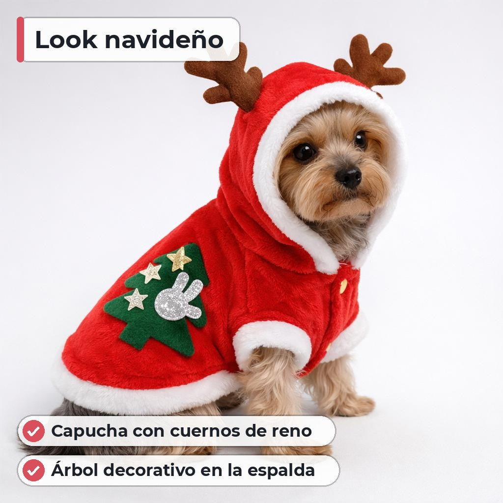 Característica principal