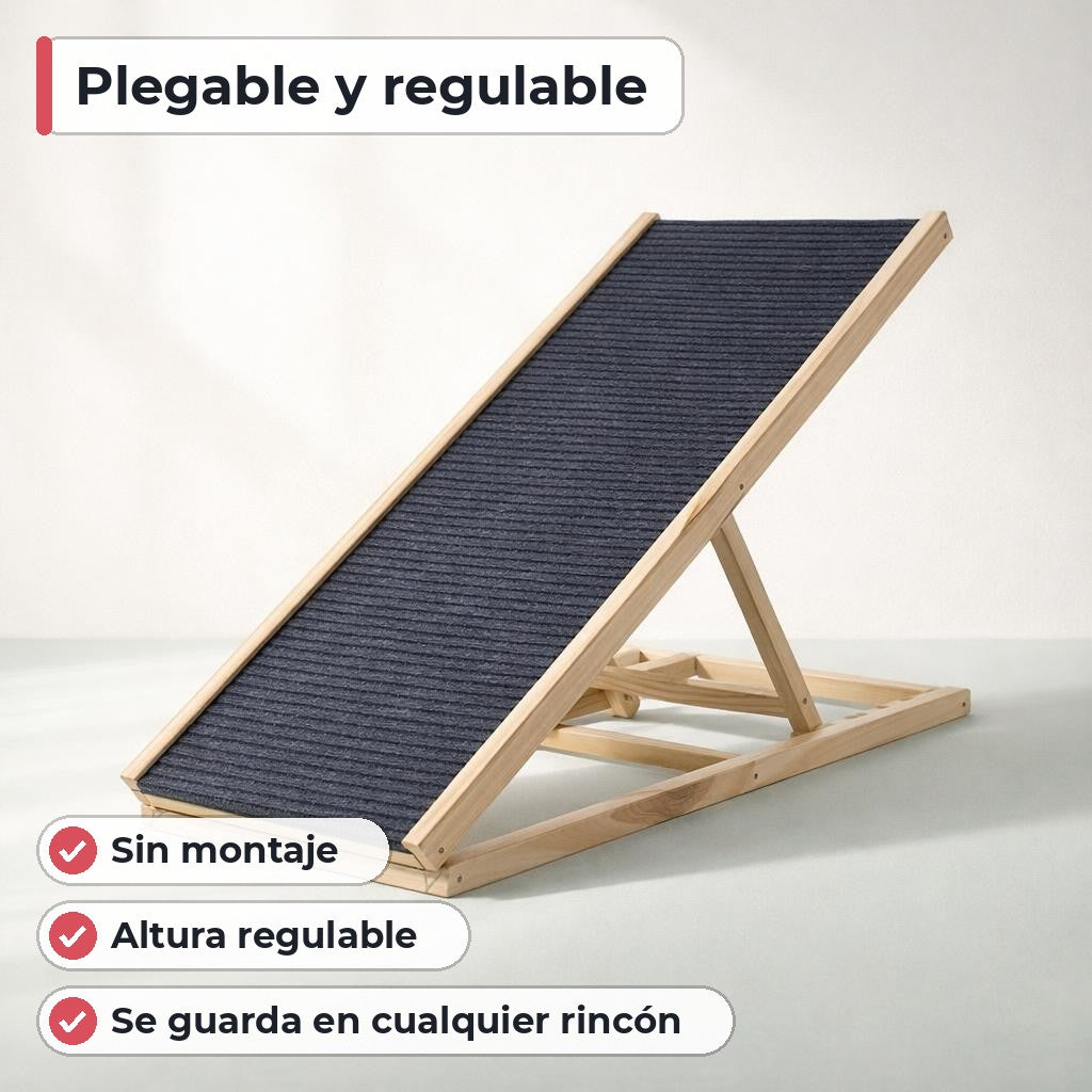 Segunda característica