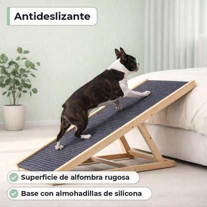 Característica principal